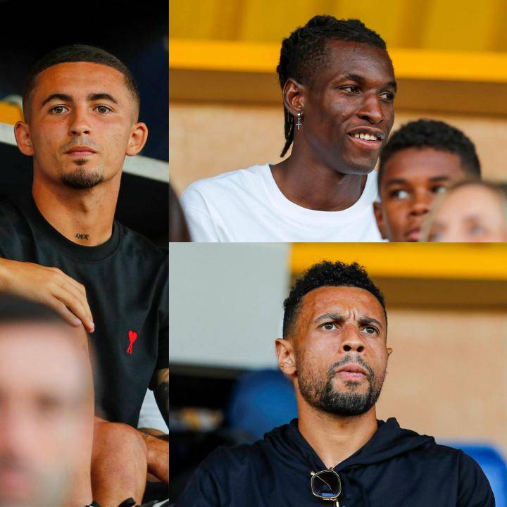 其他领域 其他领域